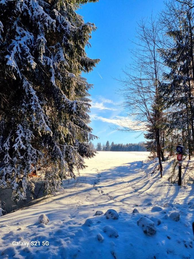 Ferienhaeuser Olbernhau Erzgebirge Екстер'єр фото