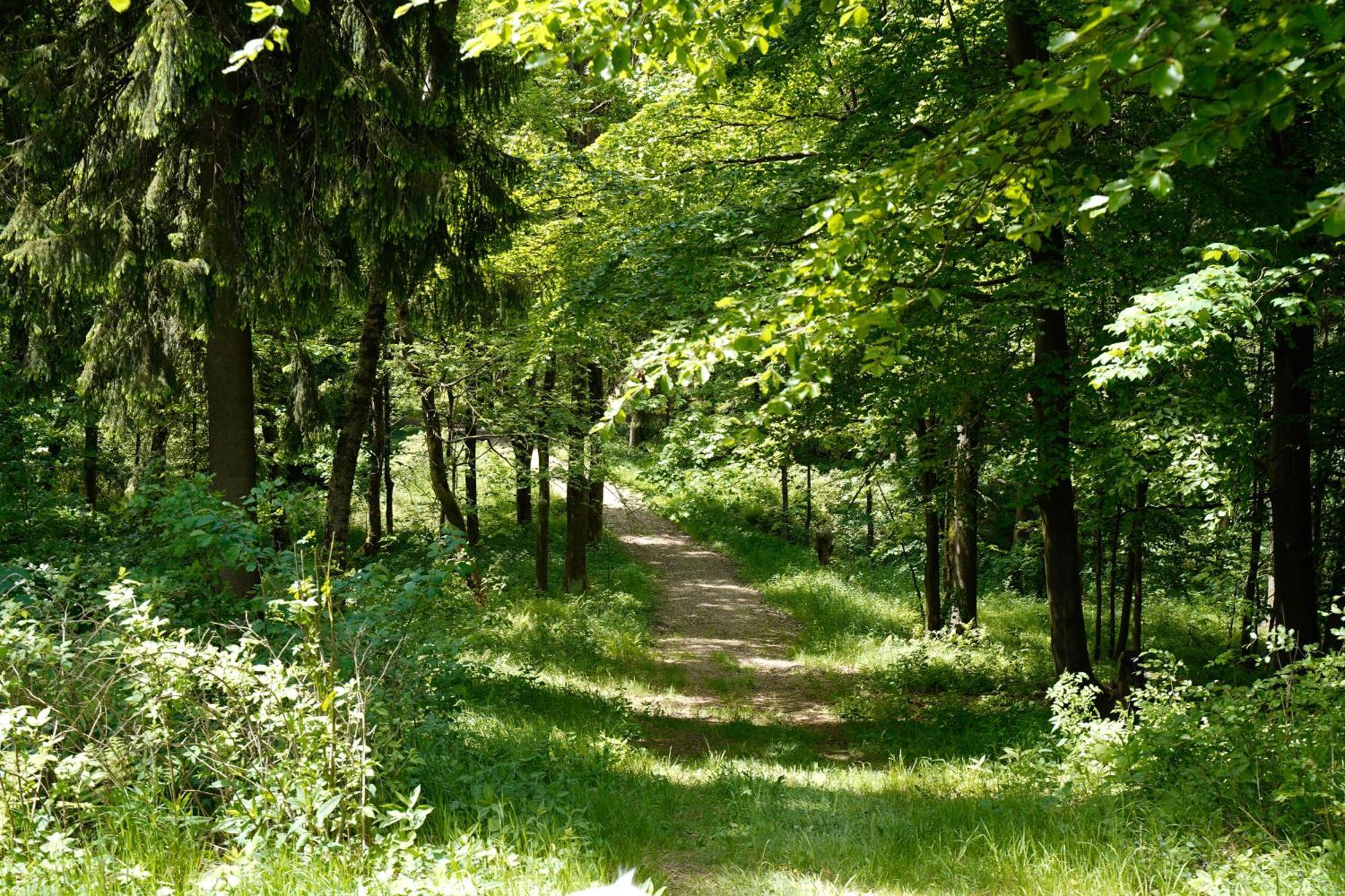 Ferienhaeuser Olbernhau Erzgebirge Екстер'єр фото